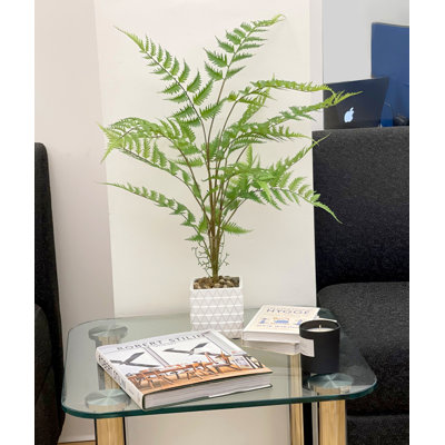 Panama Artificial Fern Plant
