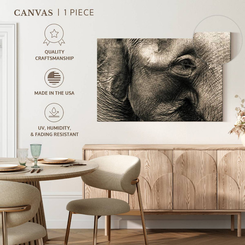 Visage d'éléphant Brampt, H 8 po x l 12 po