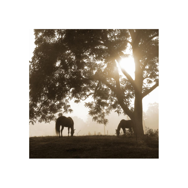 «The Quiet Hour» par Sofia Fox - photographie, H 30 po x l 30 po x P 1,5 po, Mat
