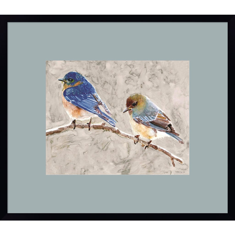 Eastern Bluebirds 1 par Stellar Design Studio, art mural encadré