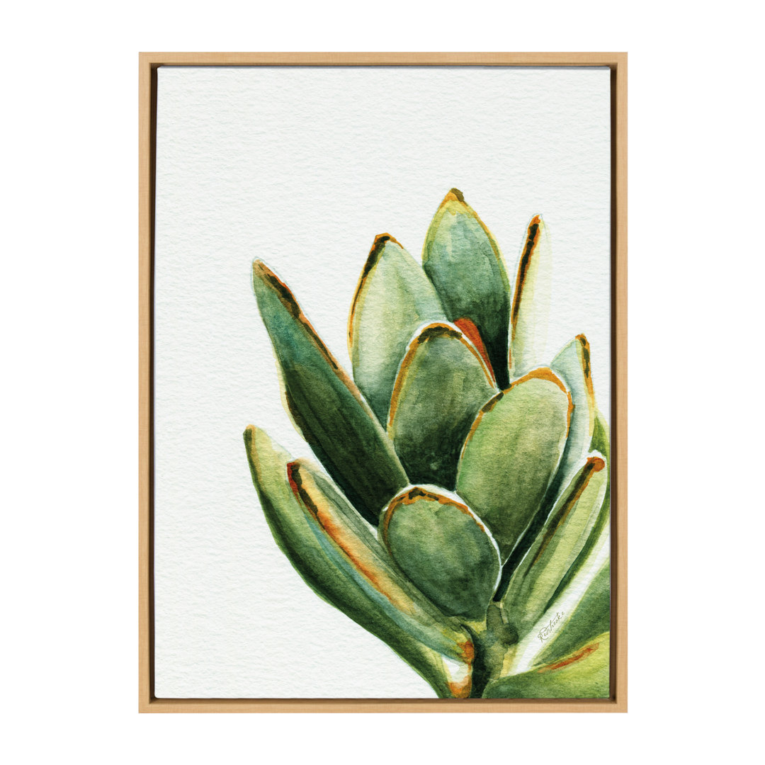 Jerger Succulent 18' by Redstreake - Floater Frame Painting Print on Canvas Dakota Fields 