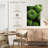 Harnek Spiny Barrel Cactus-108363194