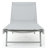 Audyn Outdoor Metal Chaise Lounge Set-100694914-124198972
