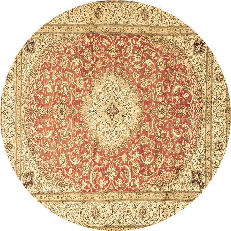 Mackinzy Performance Oriental Indoor Rug, Round 6'