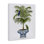 "Parrots on Ornate Planter", art mural par Fab Funky