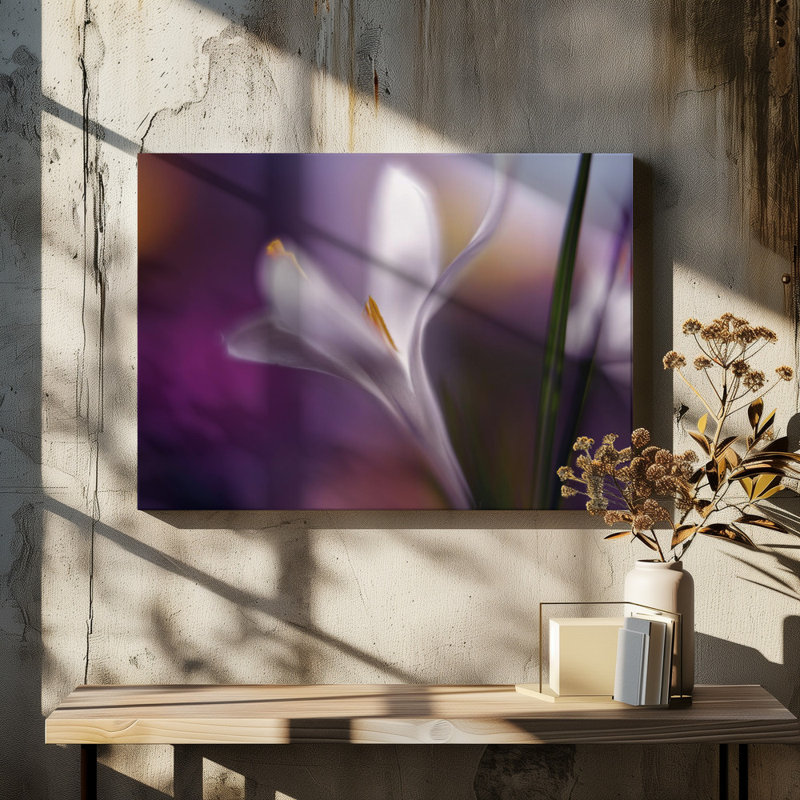 Wrapped Canvas Print, 50.8 cm H x 76.2 cm W