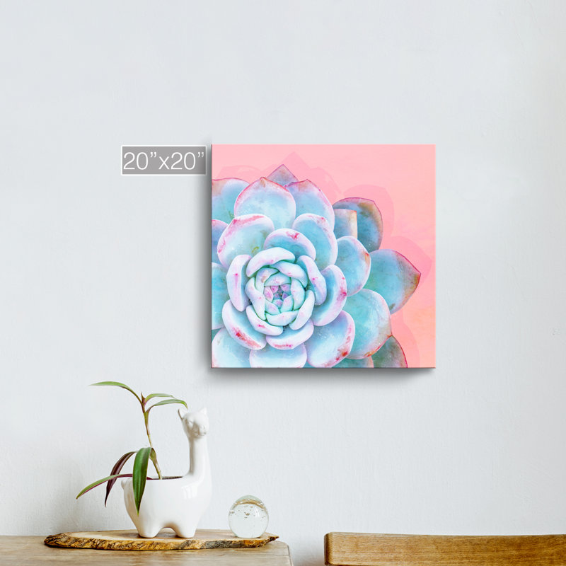 « réveil i », impression sur toile encadrée en bleu/rose succulent, H 20 po x l 20 po x P 1,5 po, Toile tendue