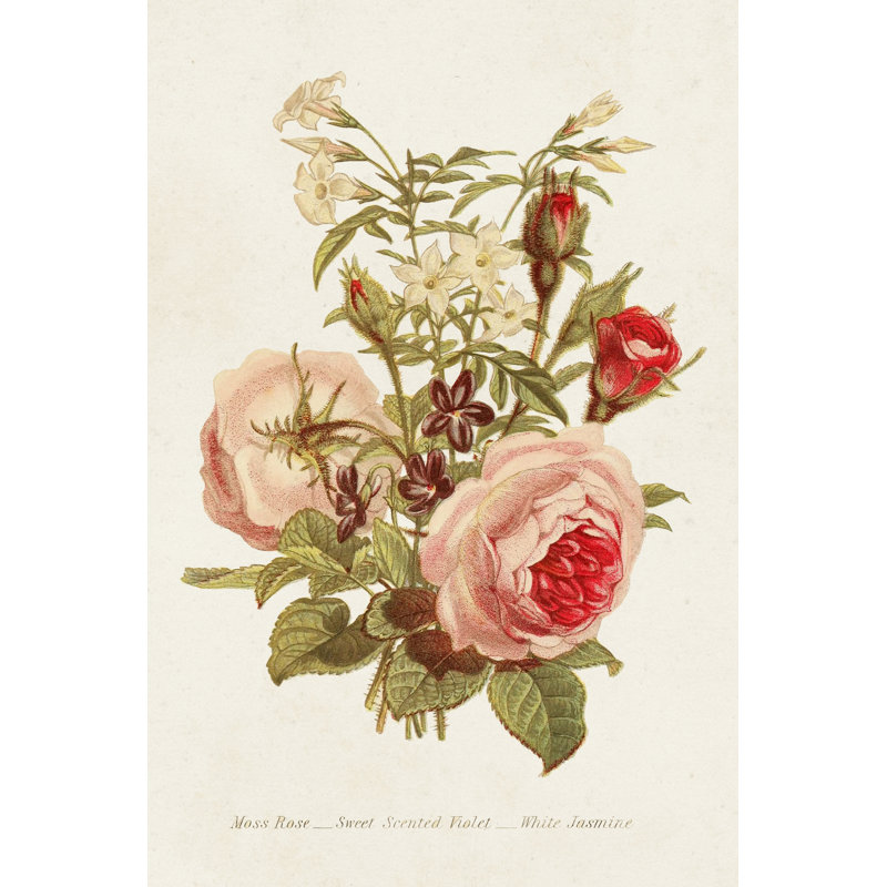Antique Floral Bouquet III - Painting Print, 122 cm H x 81 cm W, Wrapped Canvas