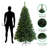Lighted Christmas Tree