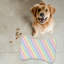 Tapis d'alimentation en forme d'os 1 pièce Gentle Spectrum
