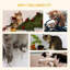 Myla Scratching Post-34715353