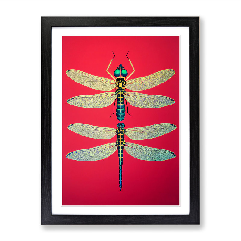 Two Pretty Dragonflies - Print, Black Picture Frame, 66cm H x 48cm W, White