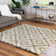 Aurin Geometric Indoor Rug