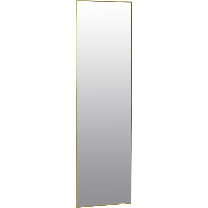 Miroir pleine grandeur Ferndown, 60 po x 25 po