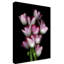 «Tulips» par Dosta, impression sur toile tendue-29225923