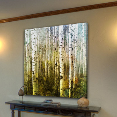 " Aspen Ski " by Parvez Taj