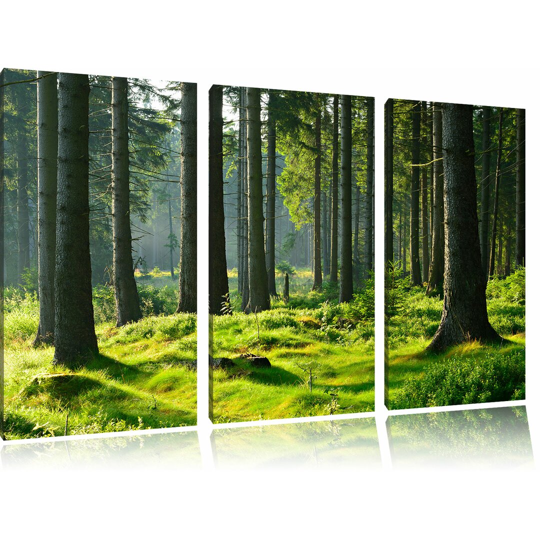 3-tlg. Leinwandbilder-Set Sonniger Tag im Wald, Fotodruck