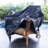 Camden Teak Outdoor Adirondack Chair with Patio Cover