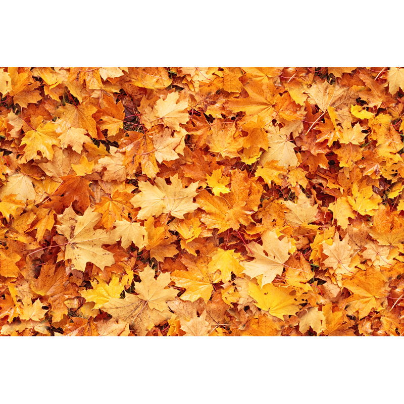 Feuilles d'automne sans soudure par Rusm, H 24 po x l 36 po