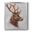 Toile encadrée de qualité supérieure Stag Study II - prête à être accrochée-1748327012-1748327014
