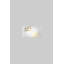 Gattilier Glass Flush Mounted Sconce
