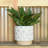Winkler Ceramic Pot Planter