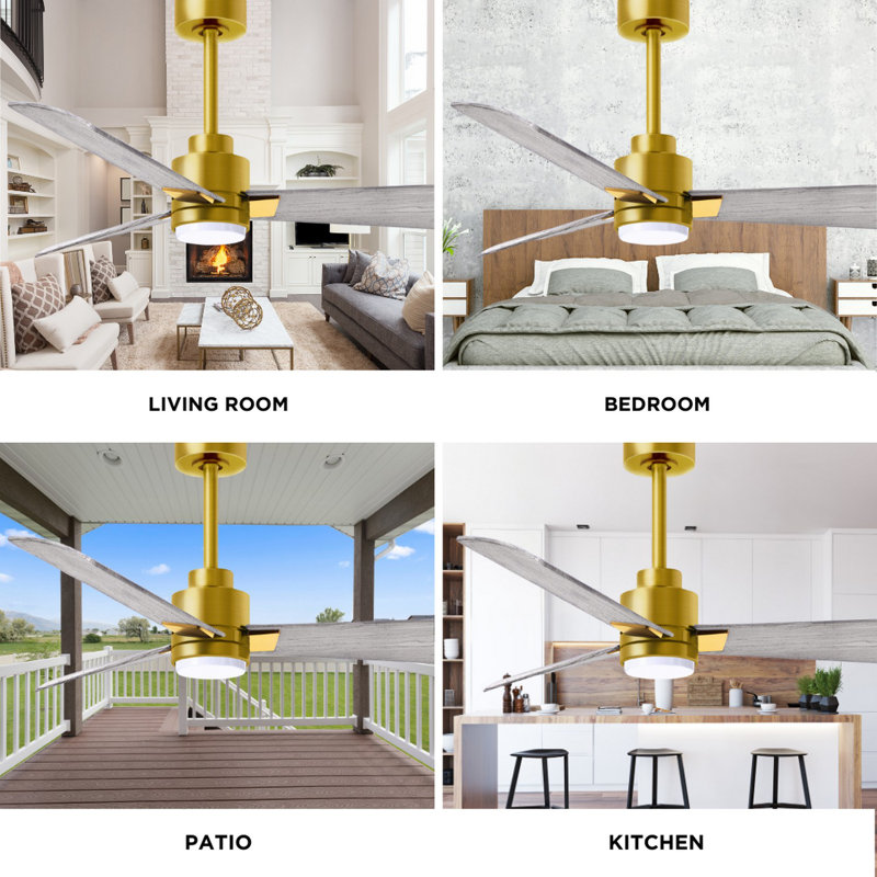 Alessandra - Three Blade Transitional Ceiling Fan -LED, Barn Wood Tone, Brushed Brass, 56"