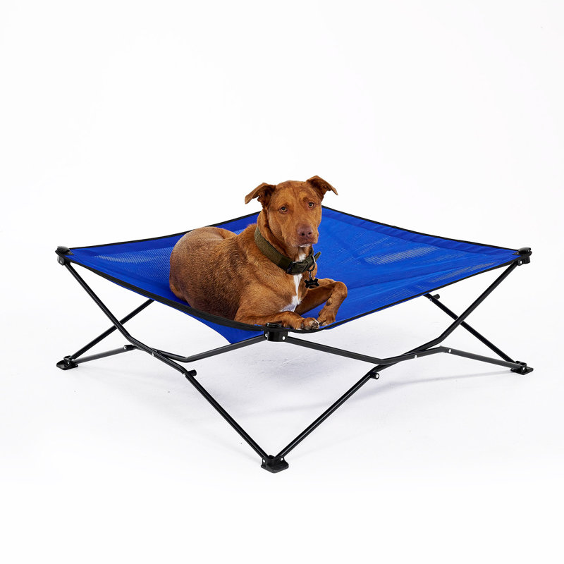 Lit pour animal de compagnie, H 11,5 po x l 41 po x P 41 po, Bleu aquatique