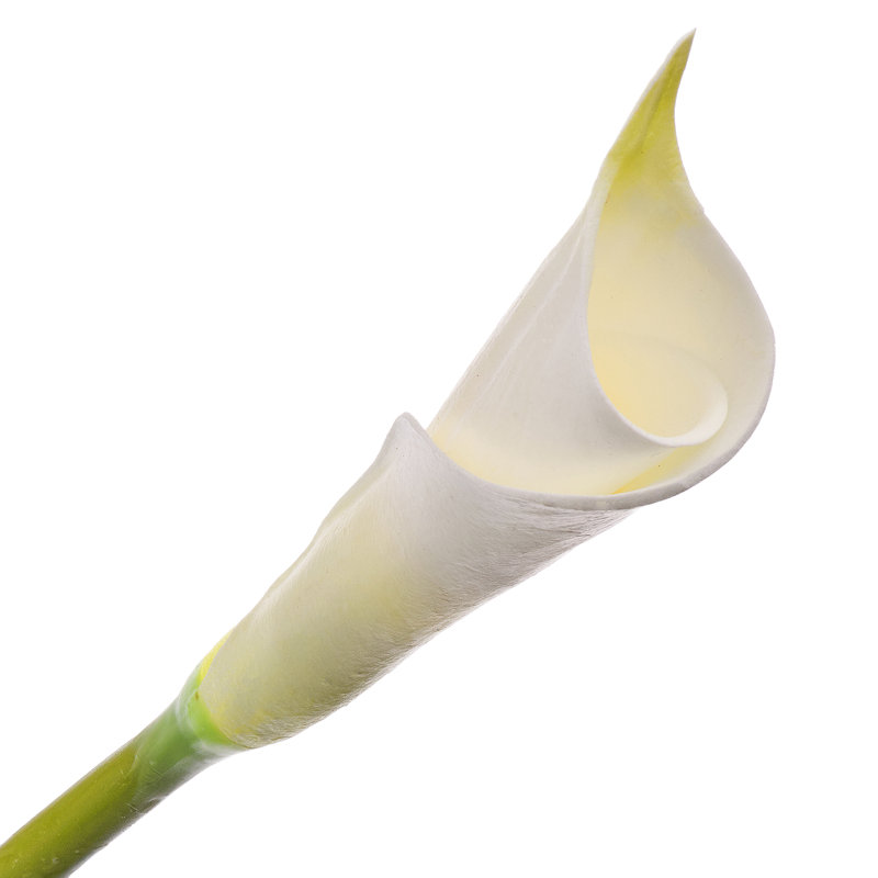 Mousse de lis de Calla 27 po , Vert