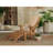 Avenya Teak Ottoman