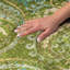 Tapis cachemire de qualité supérieure lavable à la machine ADS533-452377175-452377178