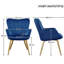 color 125kg Load Capacity Modern Accent Chair with Wing Side and Metal Legs-273937113-312863939