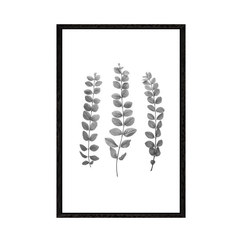 Foliage Bw by Sisi & Seb - Gallery-Wrapped Canvas Giclée on Canvas, 66.04 cm H x 45.72 cm W, Black Framed
