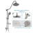 8-Inch Shower System With Hand Shower And Rain Shower Head-107125484