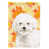 Bichon frisé crème