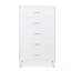 Elegance Finish Chest-1734812642