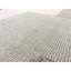 Area Rug in Gray