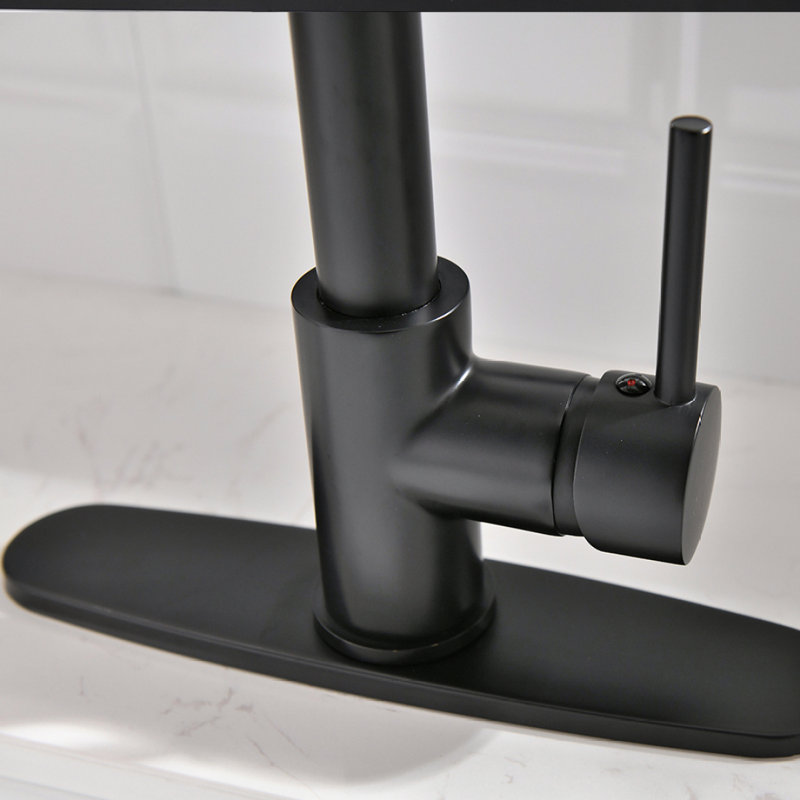 Purifier Kitchen Faucet Drinking Water Faucet With Ying Rack, Pull Down Water Filter Kitchen Sink Faucets (Matte Black)