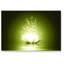 Glass Art-21164269-21295350