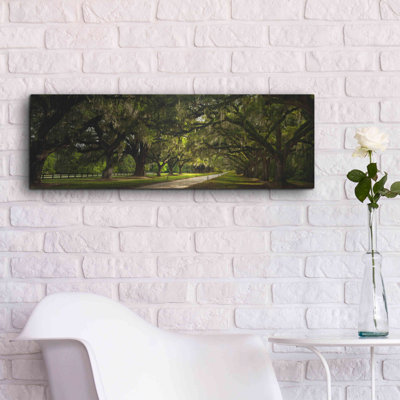 Winston Porter 'Southern Canopy' by Natalie Mikaels, Metal Wall Art