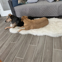 Pretor Puprug Runner Faux Fur Memory Foam Dog Curve Mat