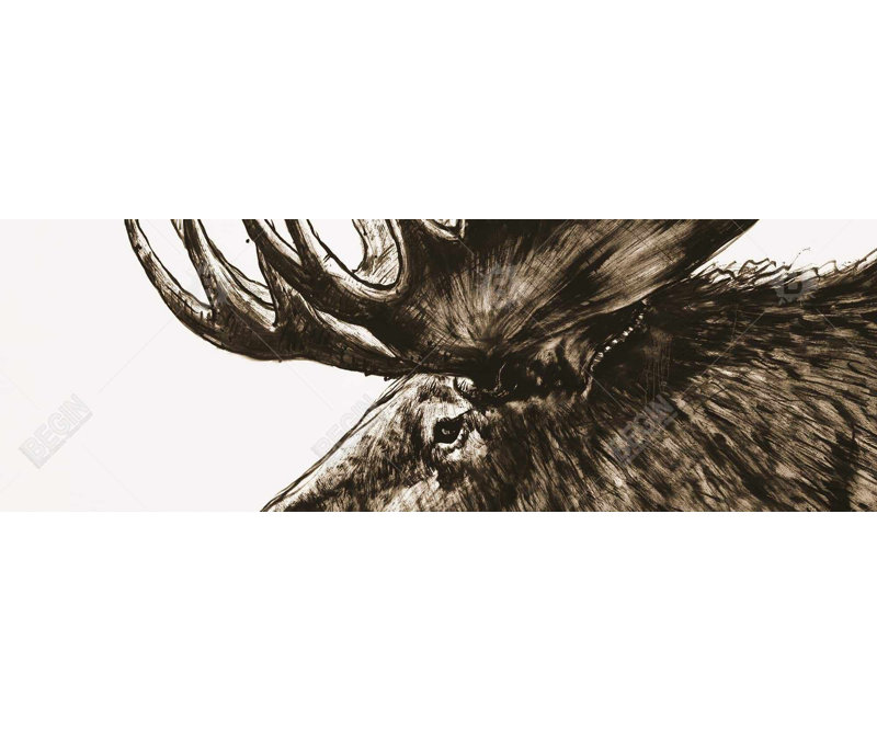 " Moose Plume Sepia "