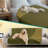 Polyester Pet Blanket-94897892-94897895