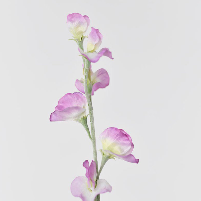 Lathyrus odoratus artificiel Audet mauve clair en soie (paquet de 1 branche), Mauve clair
