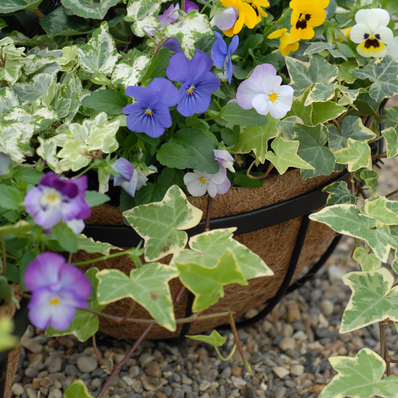 Aelita Weather Resistant Liner Plant Stand