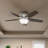 Hunter 52 inch Newsome Low Profile Ceiling Fan with LED Light Kit and Pull Chain-56420884