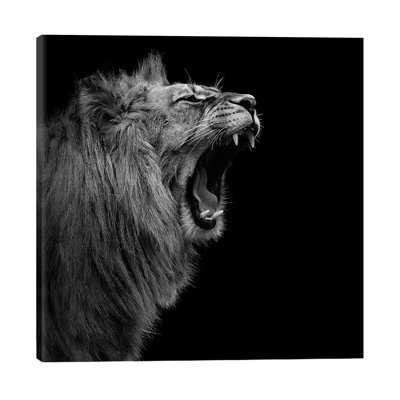 Lukas Holas - Wrapped Canvas Print