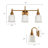 Cassiel  3-Light Dimmable Vanity Light-335523872