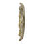 Plaque murale succulente D10x1,4 "