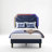 Bed Frames With Lighted Headboard-538059280-538059283